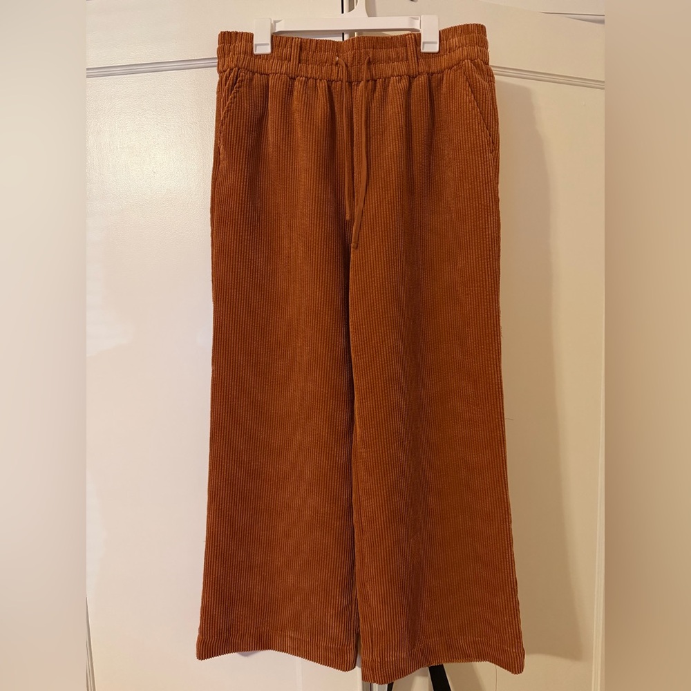 BDG Terracotta Corduroy Pants